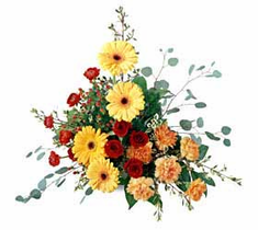 The FTD� Petals & Branches� Arrangement