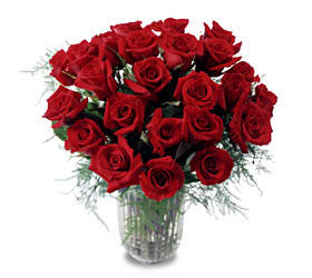The FTD� Two Dozen Long Stemmed Roses