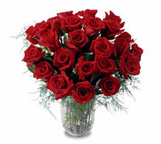 The FTD� Two Dozen Long Stemmed Roses