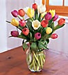 Timeless Tulips�