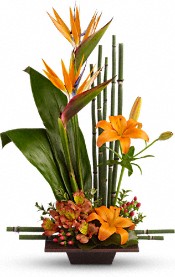   FLOWER Specials 