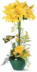 topiary  Sunburst� Bouquet