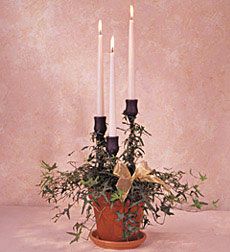 Triple Candle with Ivy