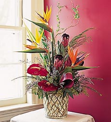 Tropical Flower Arrangement