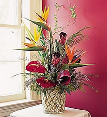 Tropical Flower Arrangement