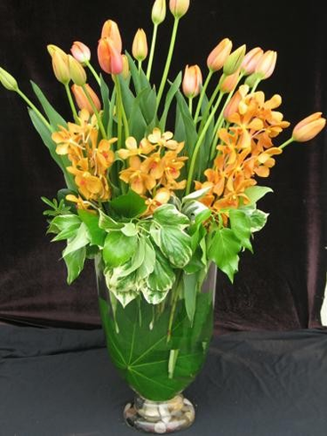 tulips and orchids