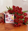 Tulips Together�