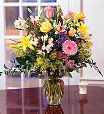 Wed16