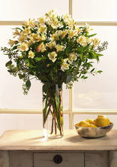 White Alstroemeria