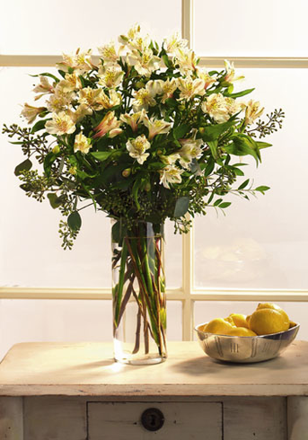 White Alstroemeria