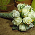 white roses