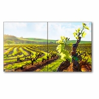 2x2 46" LED-Backlit Ultra-Narrow Bezel TileMatrix Video Wall Solution - X464UN-TMX4P