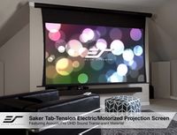 Acoustic Electric Screens