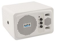 Anchor AN-130F1+ 4.5-inch 30W Speaker Monitor with One Built-in Wireless Receiver, White - AN-130F1+