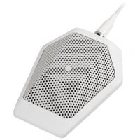 Audio Technica Cardioid Condenser Microphone - U851RWB
