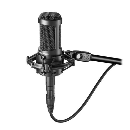 Audio Technica Multi-pattern Condenser Mic - AT2050