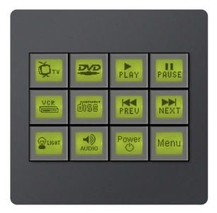 Aurora 12 Button Dynamic Control Interface (LCD) - WPAD-12L