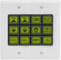 Aurora 12 Button Dynamic Control Interface (LCD) - WPAD-12L