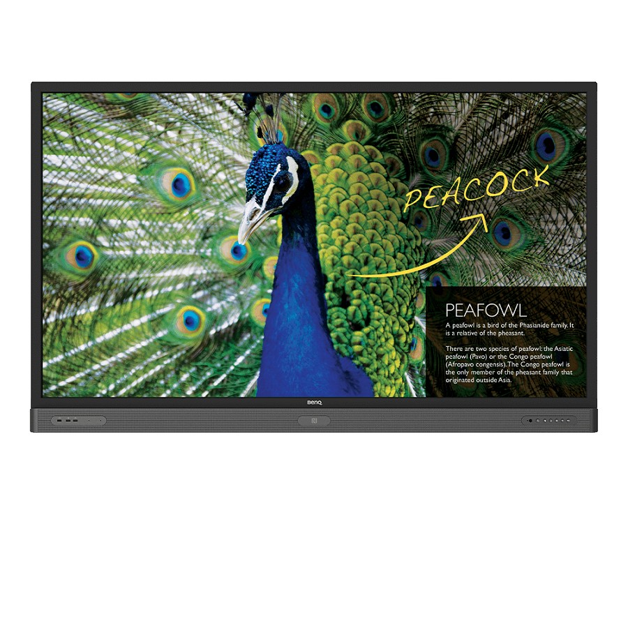 BenQ 75