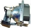 BenQ SP831 Replacement Projector Lamp - 5J.J2A01.001