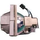 BenQ SP920 Replacement Projector Lamp - 9E.0C101.001 - Lamp 1