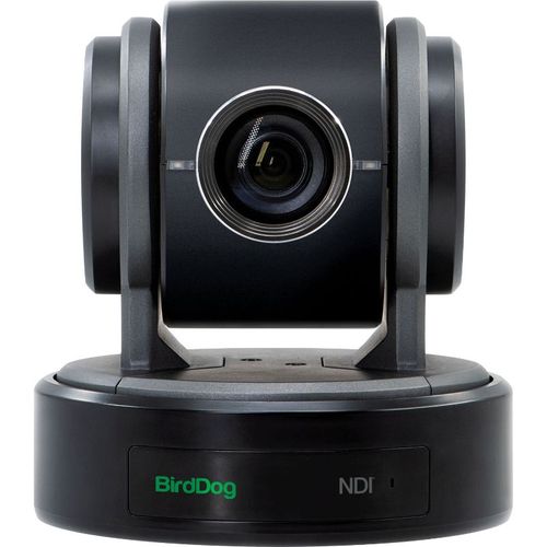 BirdDog 1080p Entry-Level NDI PTZ Camera, Black - P100B