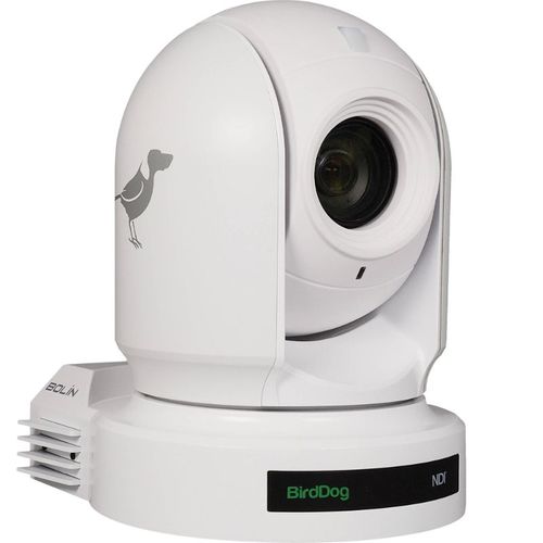 BirdDog 1080p NDI PTZ Camera, White - P200W