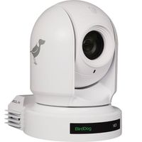 BirdDog 1080p NDI PTZ Camera, White - P200W