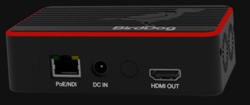 BirdDog 4K NDI Decoder - FLEX 4K OUT