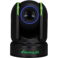 BirdDog 4K NDI PTZ Camera, Black - P4KB