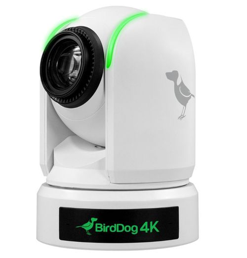 BirdDog 4K NDI PTZ Camera, White - P4KW