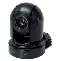 BirdDog 4K NDI PTZ Camera with Professional-Level Color Control, Black - P400B