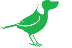 Birddog Video Production Hardware