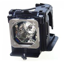 Boxlight Projector Replacement Lamp - DALLAS-930