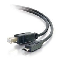 Cables To Go 12ft USB 2.0 USB-C to USB-B Cable M/M - Black - 28861