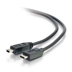 Cables To Go 12ft USB 2.0 USB-C to USB Mini-B Cable M/M - Black - 28857