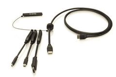 Cables To Go 6ft (1.8m) 4K HDMI® Premium Cable and Dongle Adapter Ring with Color Coded Mini DisplayPort™, DisplayPort, and USB-C® - C2G30052