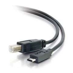 Cables To Go 6ft USB 2.0 USB-C to USB-B Cable M/M - Black - 28859