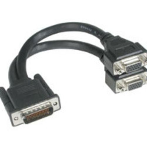Cables To Go 9in One LFH-59 (DMS-59) Male to Two HD15 VGA Female Cable - 38065