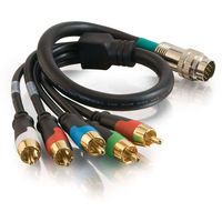 Cables To Go Rapid Run