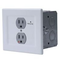 Chief WALL OUTLET POWER / SURGEX SINGLE GANG - EGX-SF2