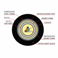 Covid Cables Cleerline Fiber, 6-Strand, OM3, Armored DB, 1,000' CLR-6ACS50125OM3PE