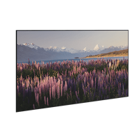 Da-lite Fixed Parallaxthin