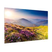 Da-lite FullVision, 65 X 104 - HD Progressive 1.0 - FC10H65X104