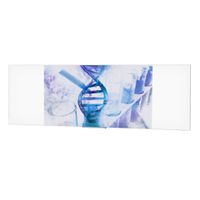 Da-Lite Idea Panoramic Projection Screen, 53" x 168", Dry-Erase Screen - 27956T