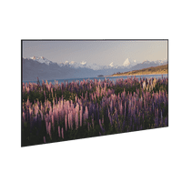 Da-lite Parallax Thin