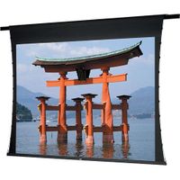 Da-Lite Tensioned Advantage Series, 45" x 80" with Parallax Pure 0.8 - 29775B