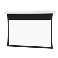 Da-Lite Wide (16:10) 120" x 192" HD Progressive 0.9 Tensioned Large Advantage Electrol Projection Screen, None - 21829L