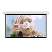 Da-Lite Advantage Electric Deluxe Projection Screen