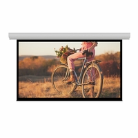 Da-Lite Contour Electric Projection Screen